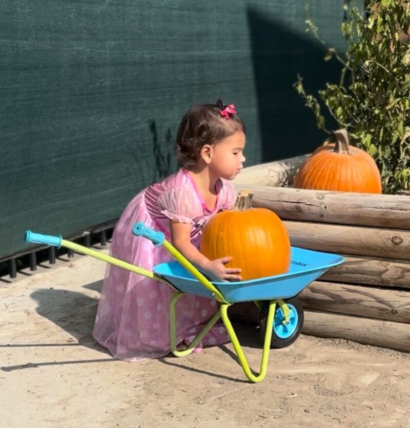 edquisitve montessori toddler