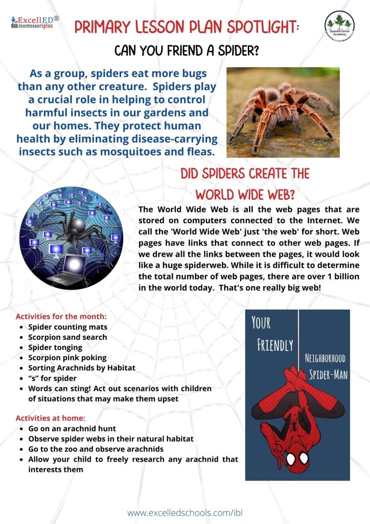 Did Spider create WWB?
