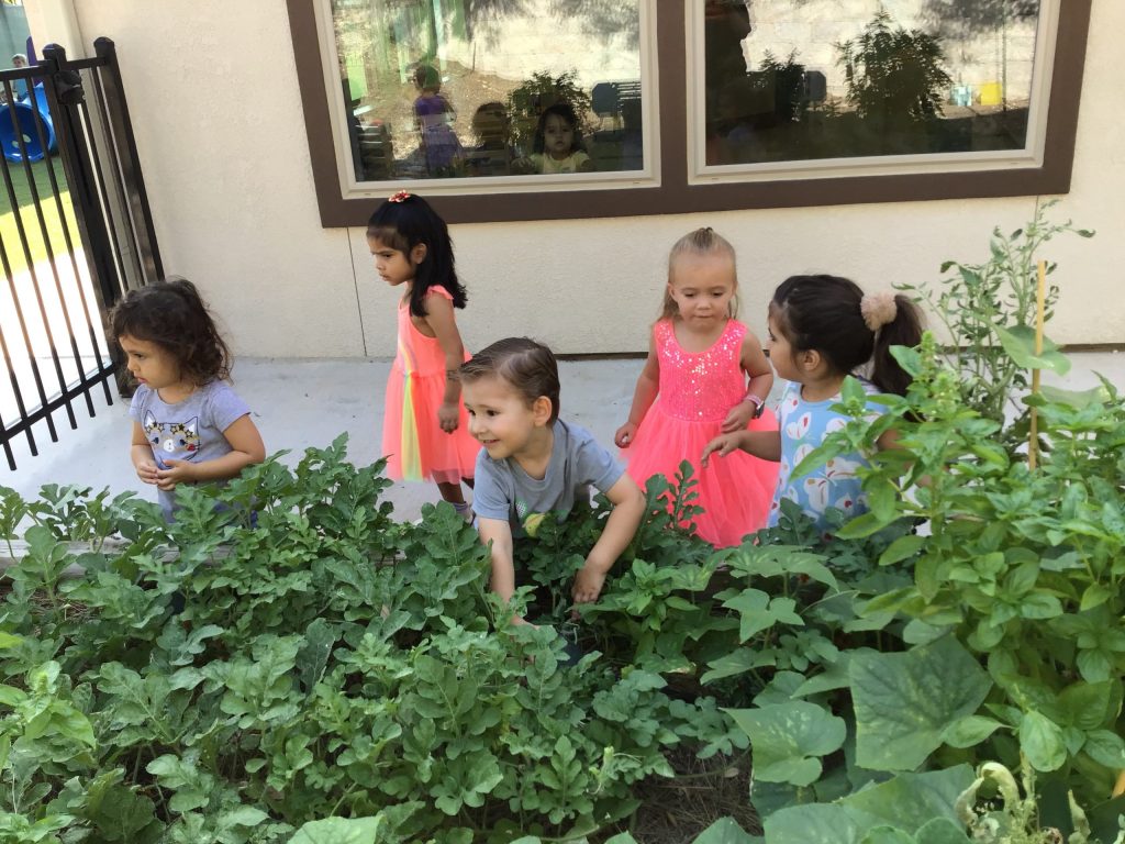 play-based learning