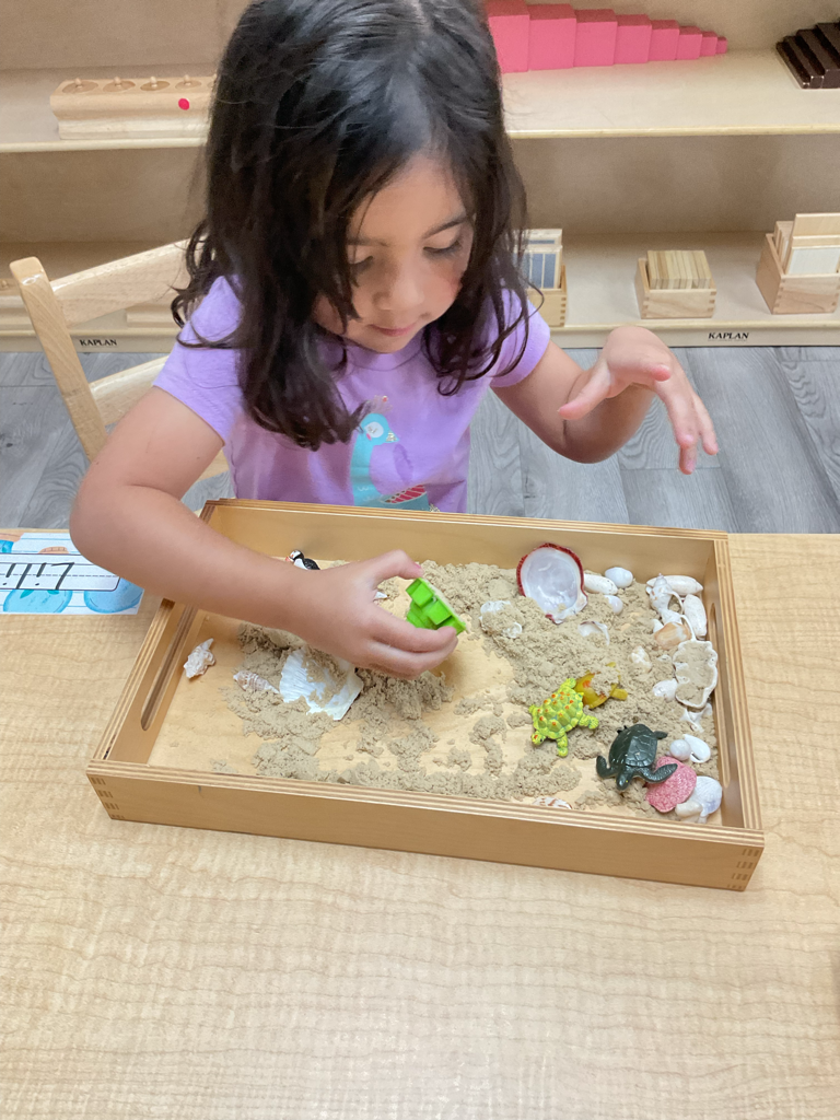 excelled montessori independence work