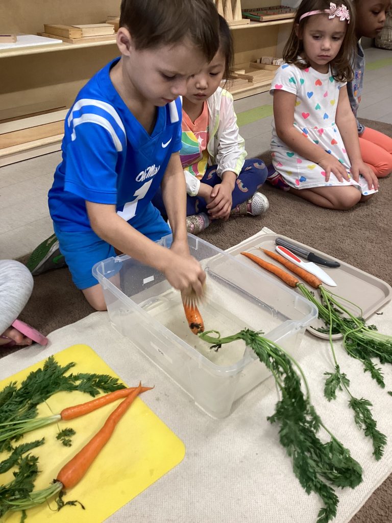 excelled montessori independence