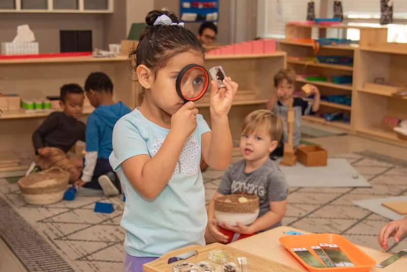 edquisitive montessori curiosity