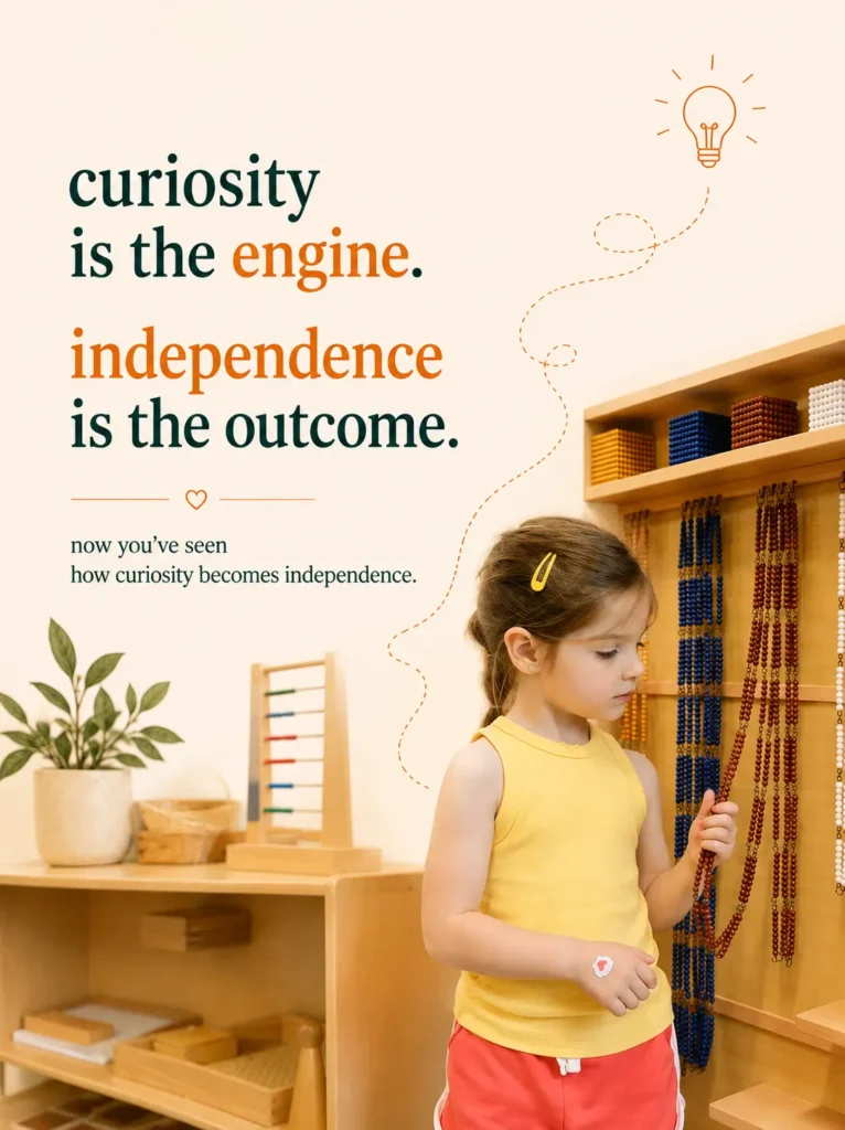 How to Raise Independent Children edquisitive montessori san antonio