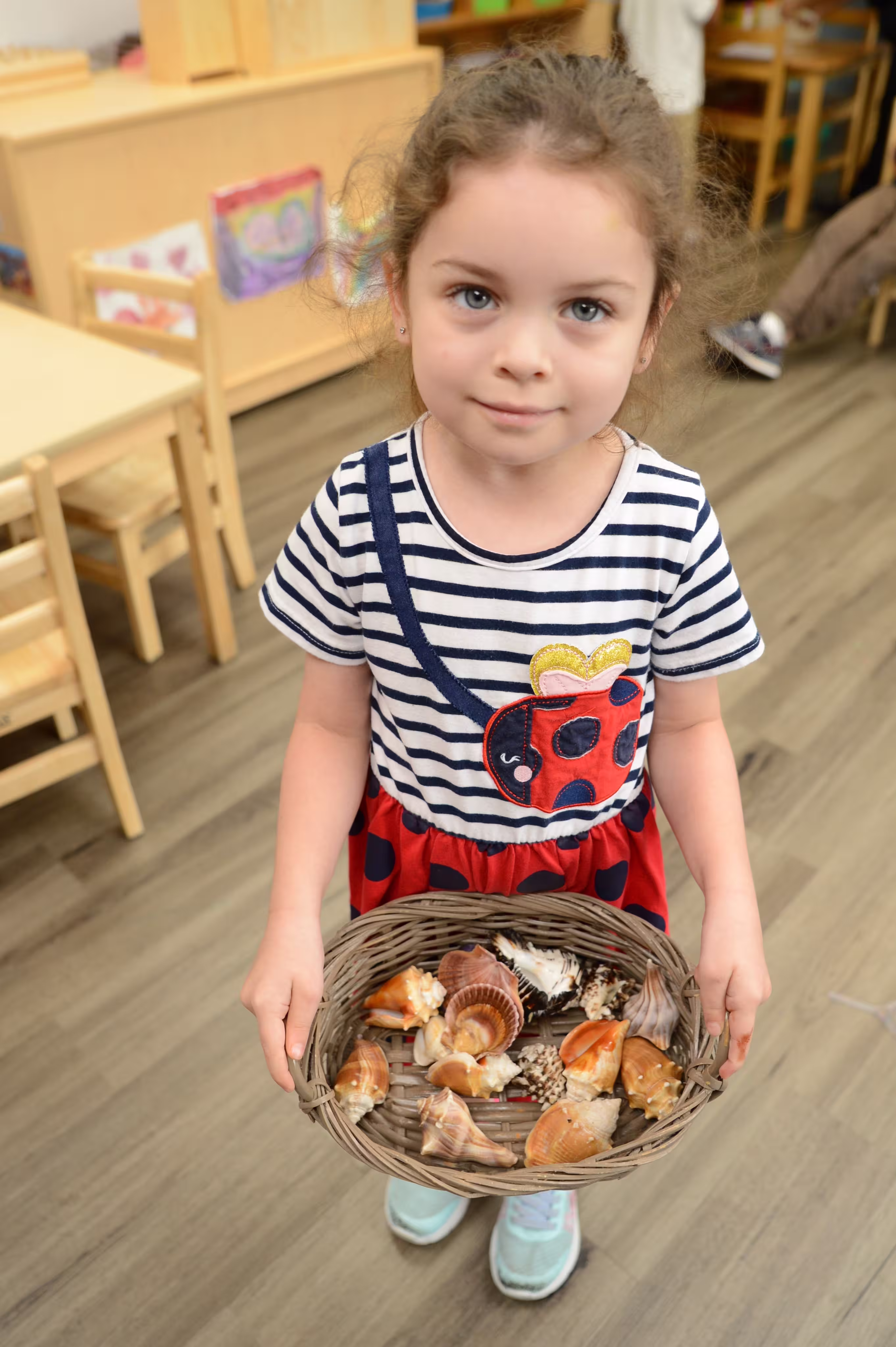 Carrying real materials with care A preschool girl carefully carries a basket of real seashells across a Montessori classroom.