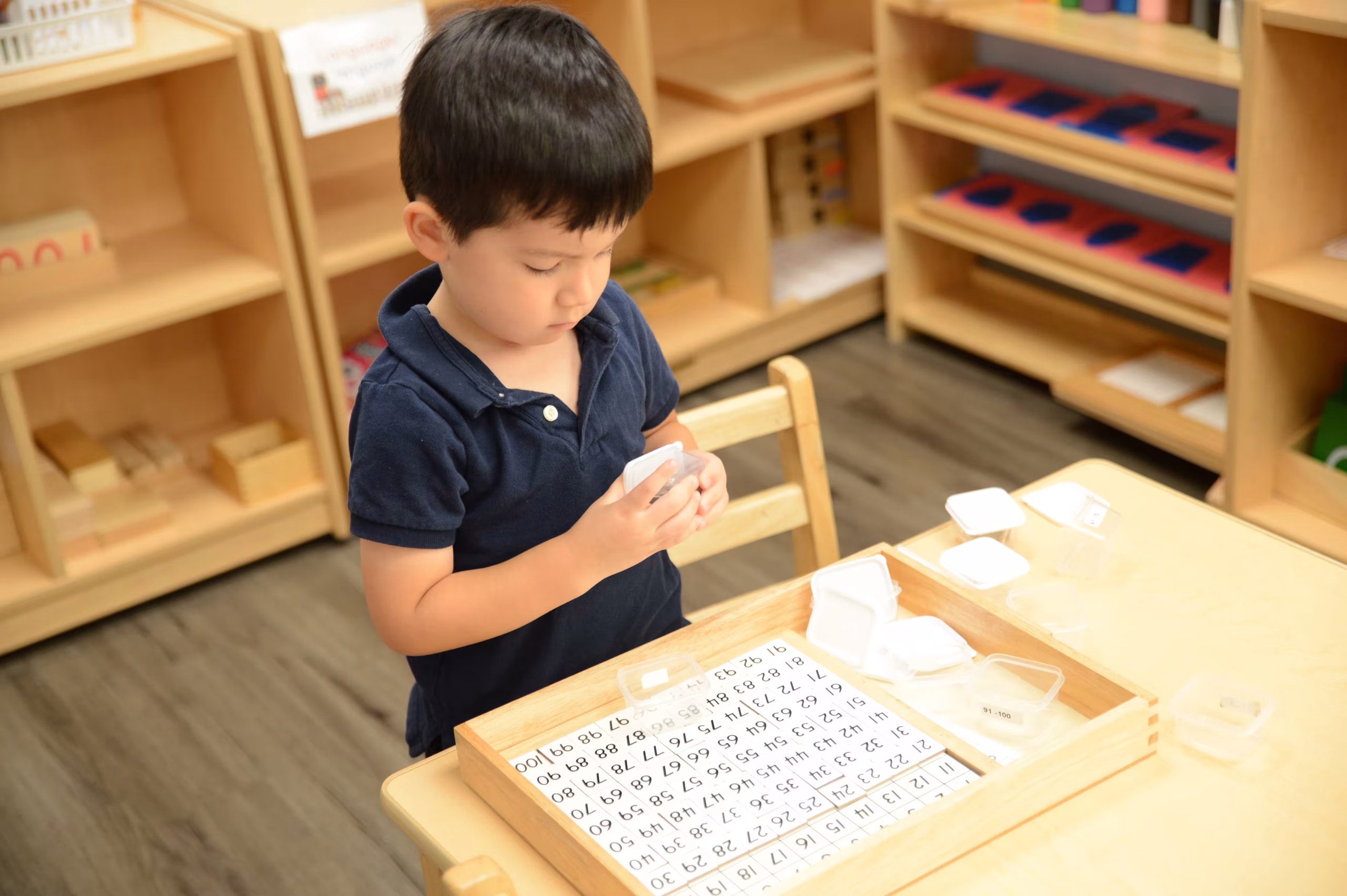 A preschooler working with the hundred board A preschool boy works alone with the Montessori hundred board, holding a number tile and concentrating.